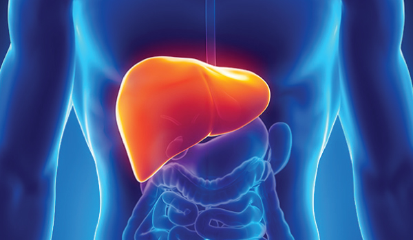 Hepatology Welcome Image